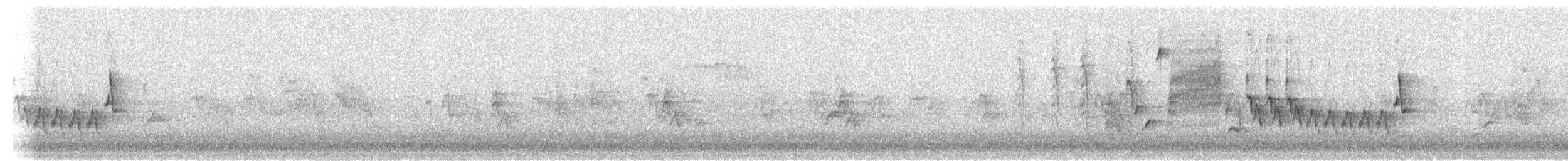 Southern House Wren - ML646346003