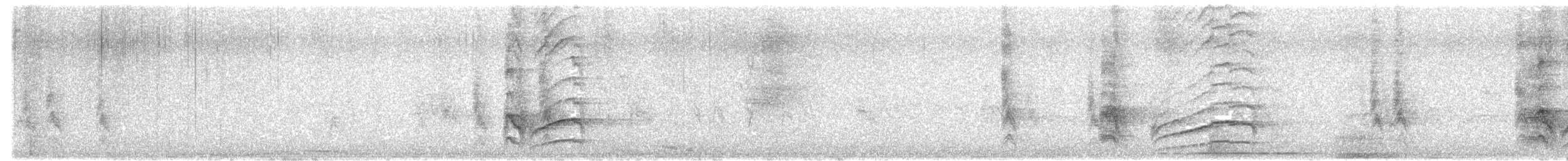 Great Kiskadee - ML646346006