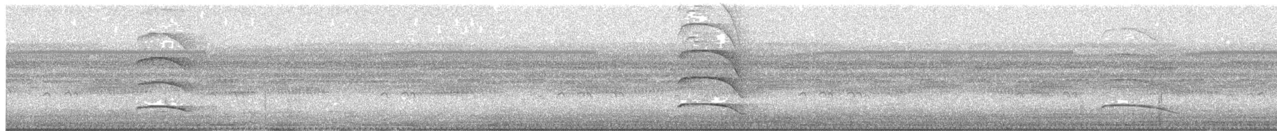 Striped Owl - ML646346166