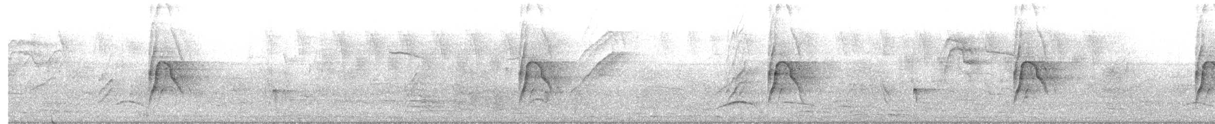 Social Flycatcher - ML646346709