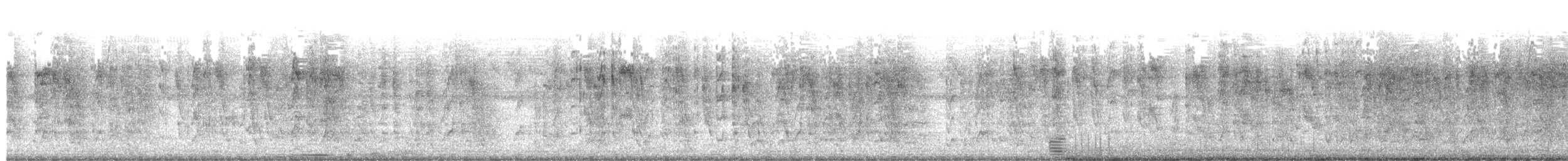 Plume-toed Swiftlet - ML646346713