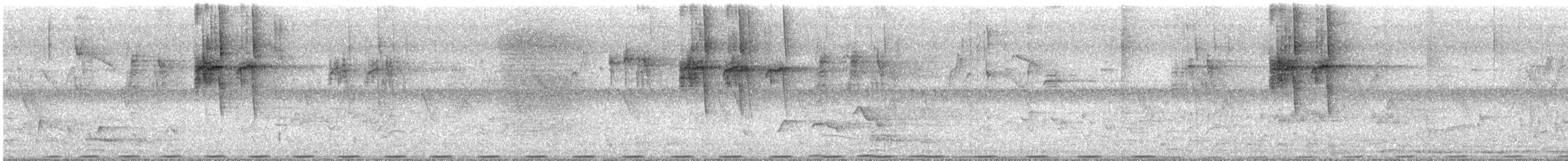 Greater Coucal - ML646346757