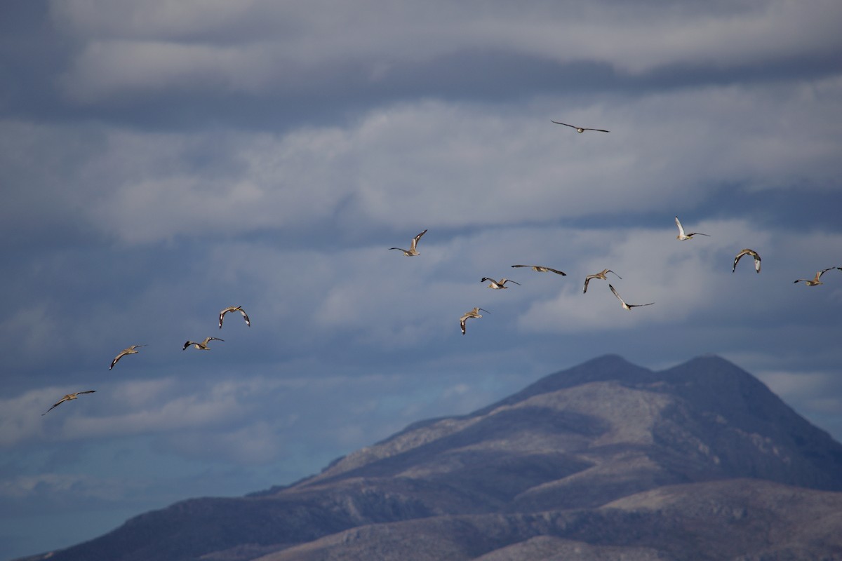 Atalarra - ML646346865