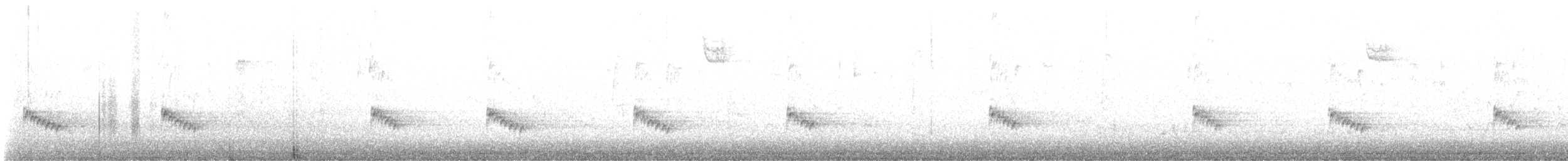 Carolina Wren - ML646347119