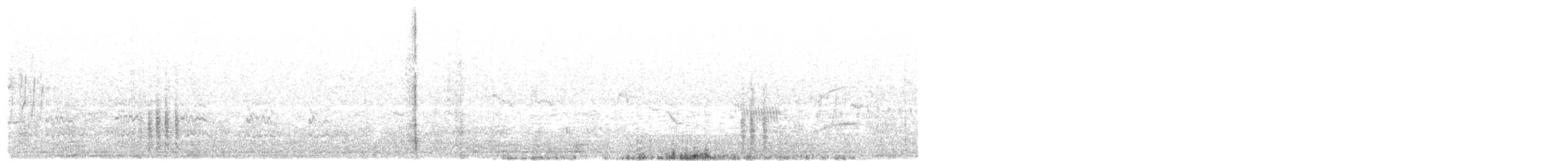 Austral Blackbird - ML646347278