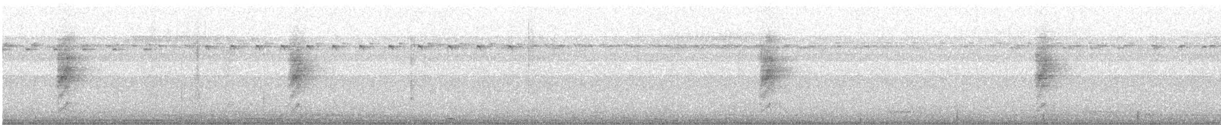 Indian Paradise-Flycatcher - ML646347380