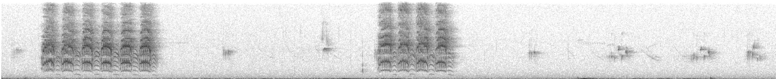 Cactus Parakeet - ML646347513