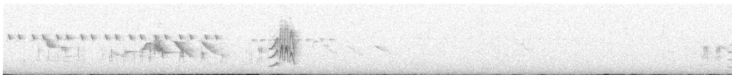 Mouse-colored Tyrannulet - ML646347545