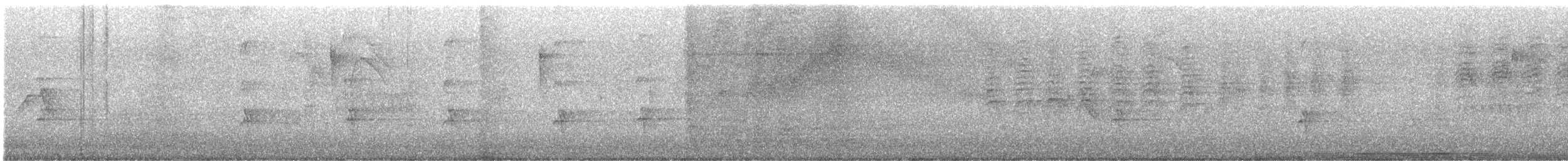 Southern House Wren - ML646347795