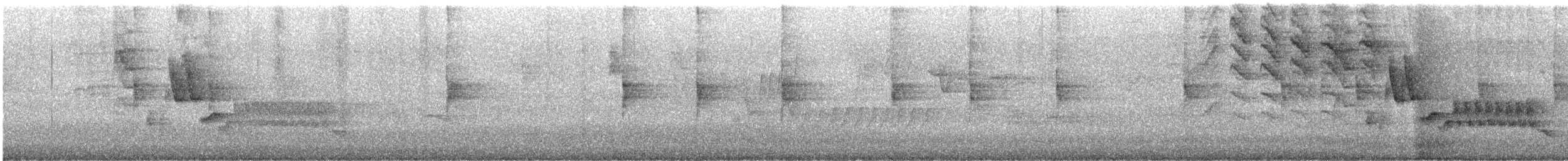 Northern Waterthrush - ML646347800