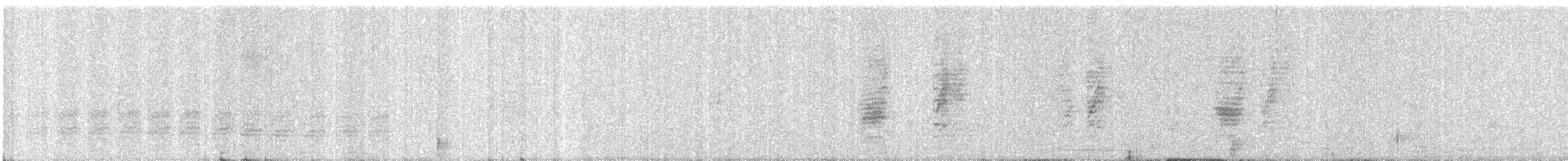 Black Drongo - ML646348304