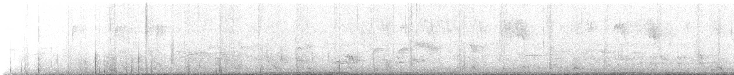 Pileated Woodpecker - ML646348390