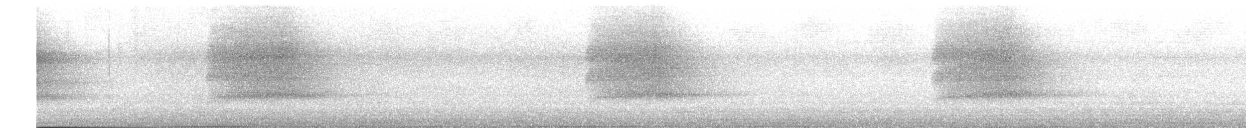 Eastern Barn Owl - ML646348657