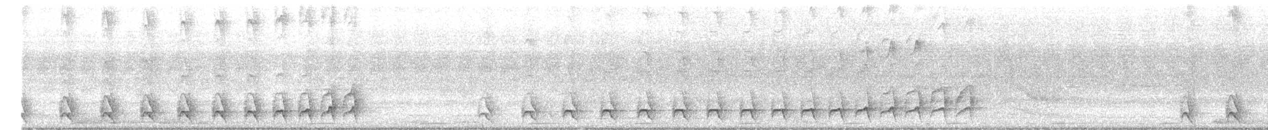 Black-crested Antshrike - ML646348690