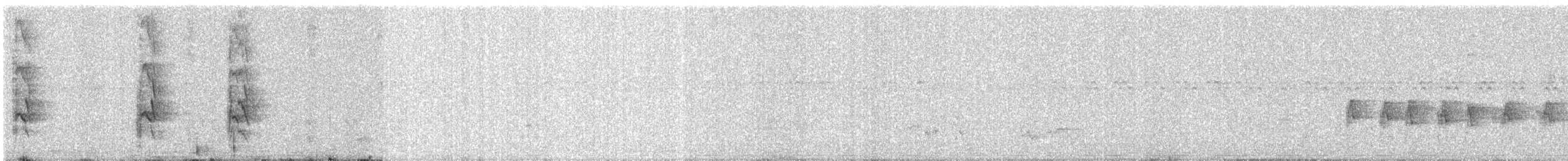 Rose-ringed Parakeet - ML646348743