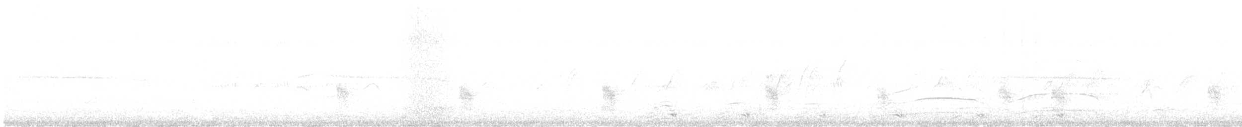 gråkinnvåk - ML646348887