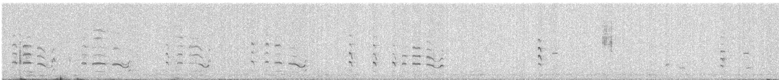 brillevipe - ML646349021