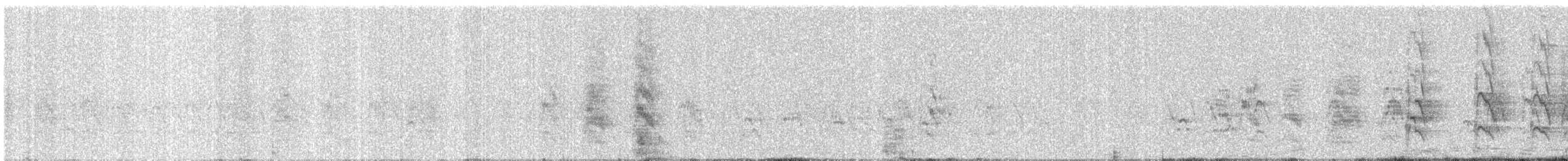 Papagai lepokoduna - ML646349507