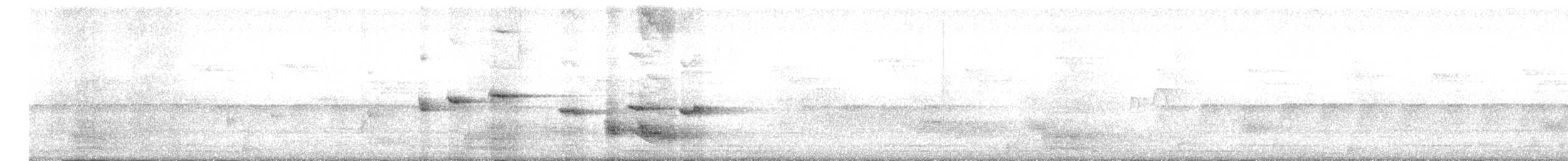 White-throated Fantail - ML646349545