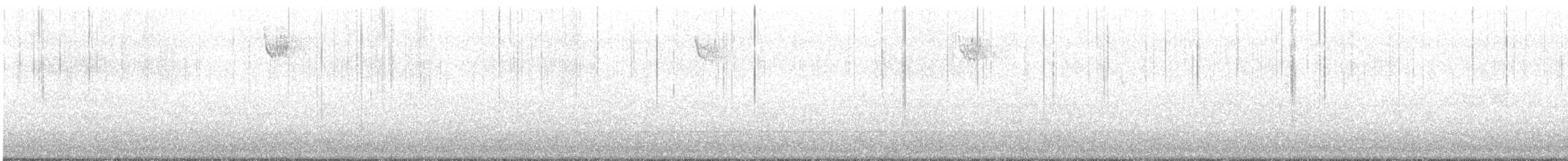 White-throated Sparrow - ML646349749