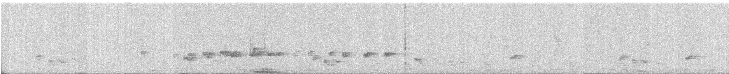 Parrocchetto dal collare - ML646349751