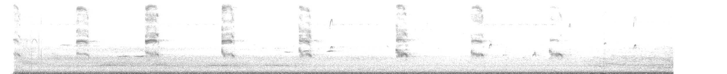 Mignattino piombato - ML646350145