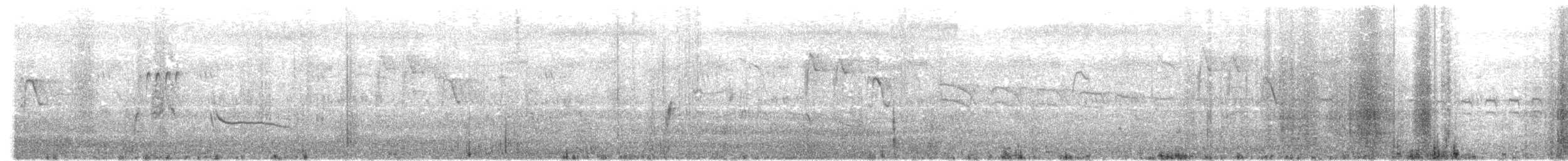 Aves sp. - ML646350542