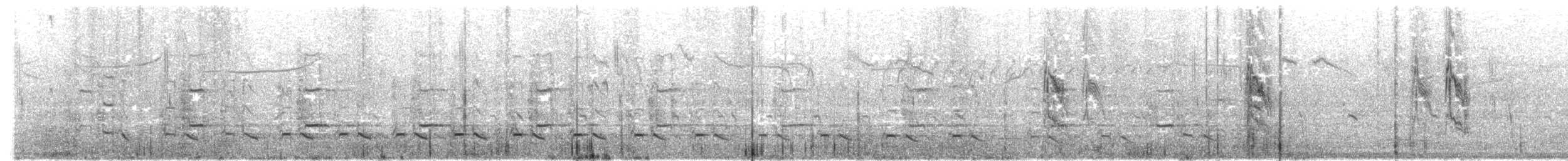 Aves sp. - ML646350689