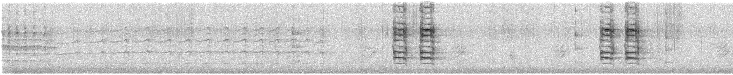 Chara Azul - ML646350915