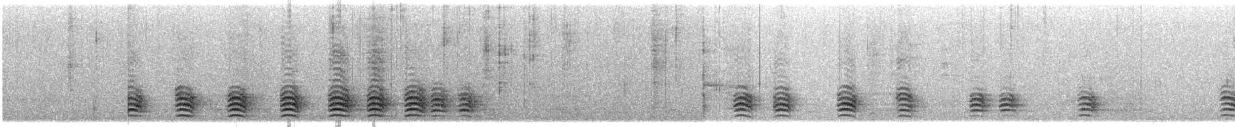 Trepador Pechiblanco (carolinensis) - ML646351024