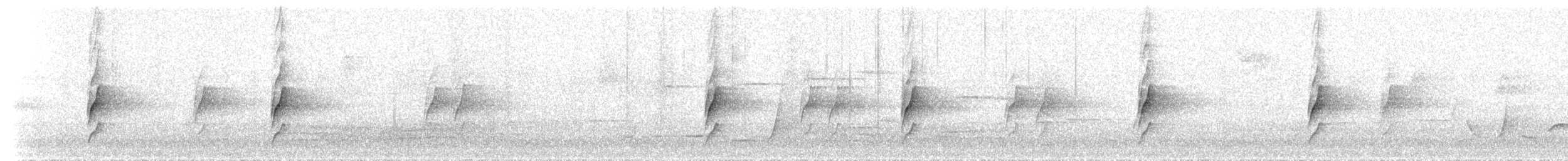 kosík ostrocasý - ML646351146