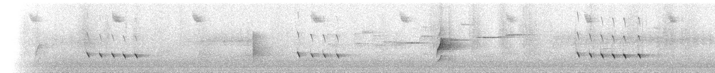 lezčík bělohrdlý - ML646351150