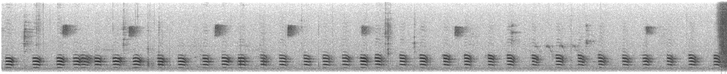White-breasted Nuthatch (Eastern) - ML646351158