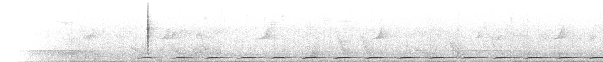 Wonga Pigeon - ML646351197