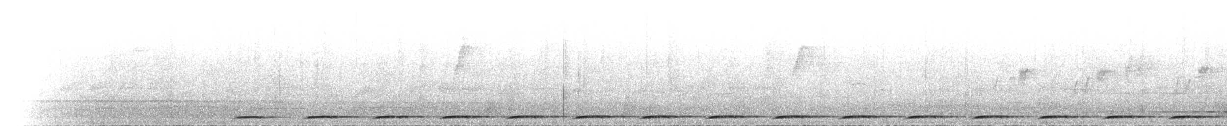 Wonga Pigeon - ML646351198