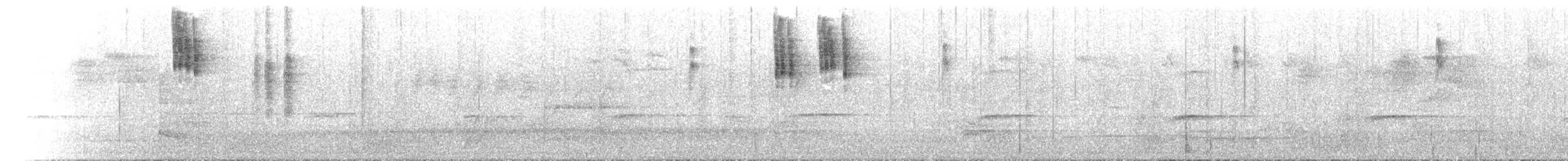 White-browed Scrubwren - ML646351201