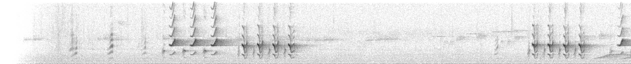 kosík ostrocasý - ML646351202