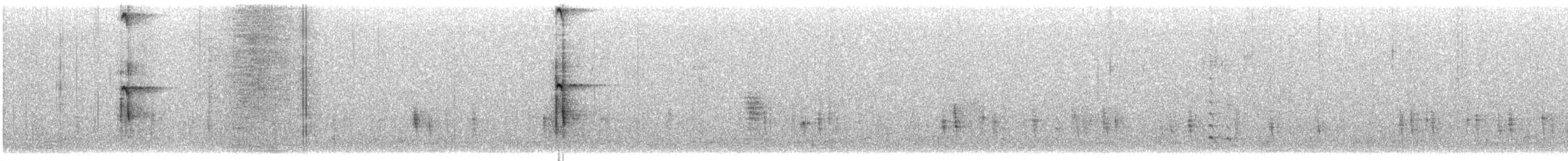 Hairy Woodpecker (Eastern) - ML646351376