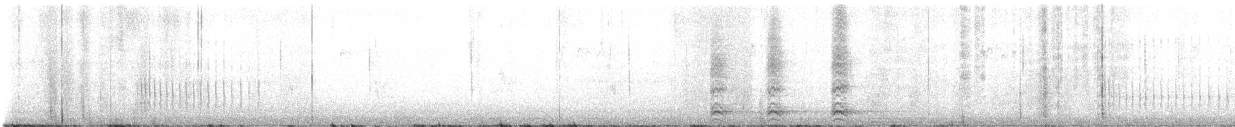 Belted Kingfisher - ML646351738