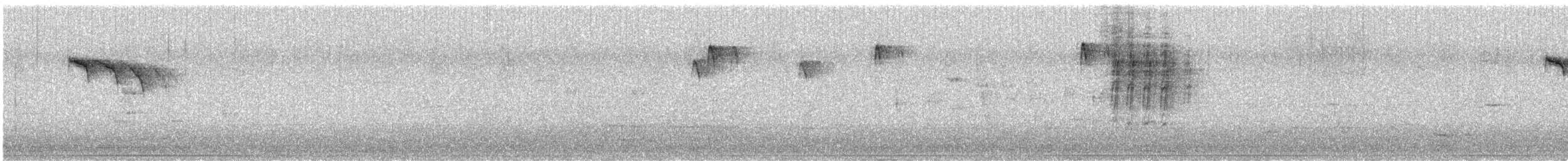 Eurasian Blue Tit - ML646351813