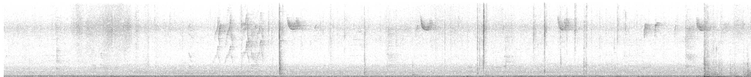 White-throated Sparrow - ML646352216