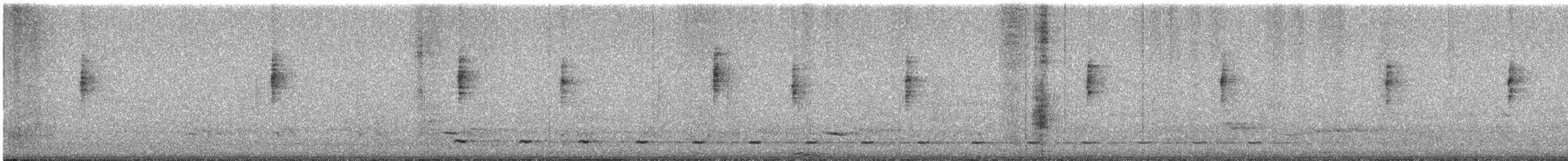 MacGillivray's Warbler - ML646352425