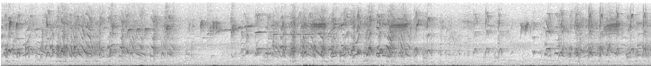 Australian Ringneck - ML646352725