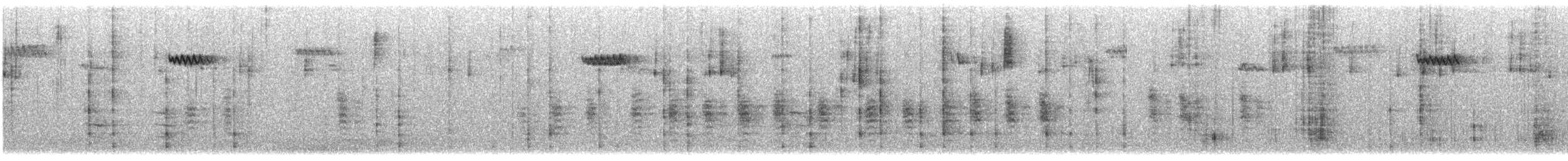 Підкоришник американський - ML646353168