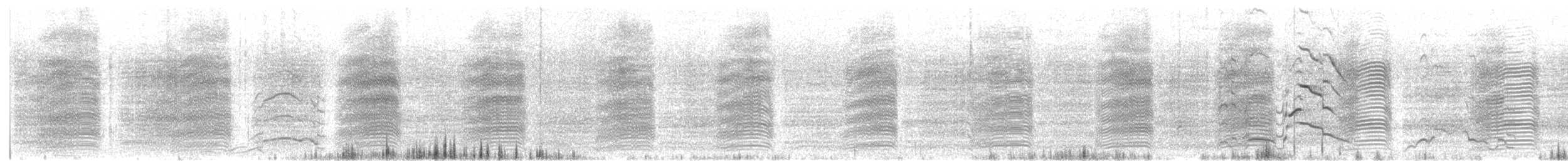 Какатоїс евкаліптовий - ML646353338