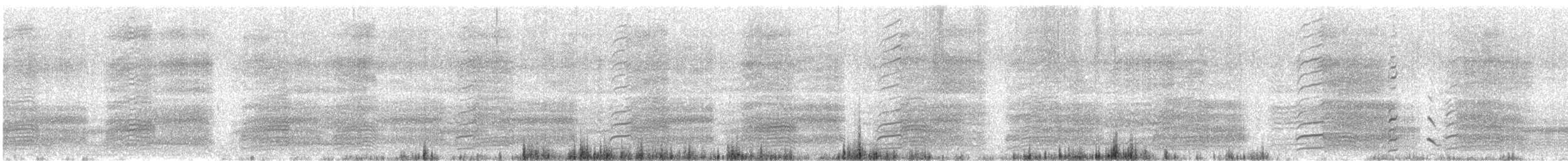 Какатоїс евкаліптовий - ML646353391