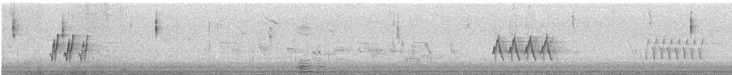 Dusky Warbler - ML646353572