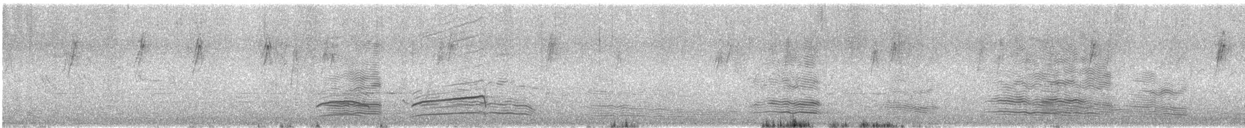 Крук австралійський - ML646353666