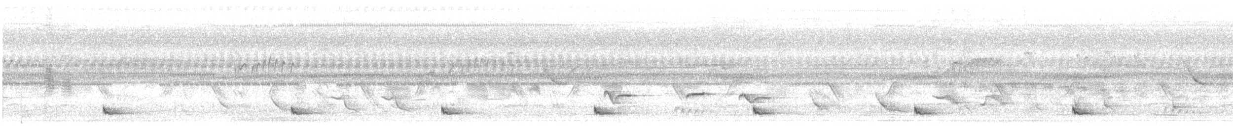 Band-tailed Nighthawk - ML646353848