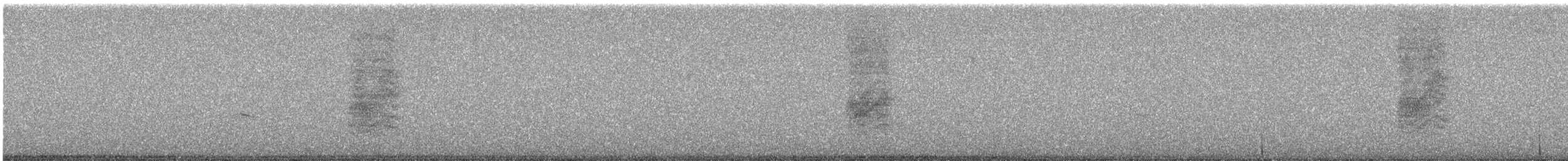 Chara Californiana - ML646353914